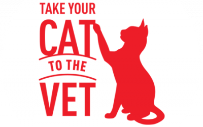 Take your cat to the vet @Royal Canin