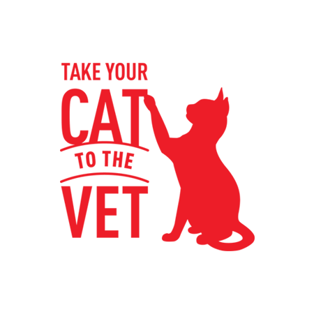 Take your cat to the vet @Royal Canin