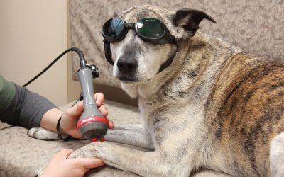 Laser therapy