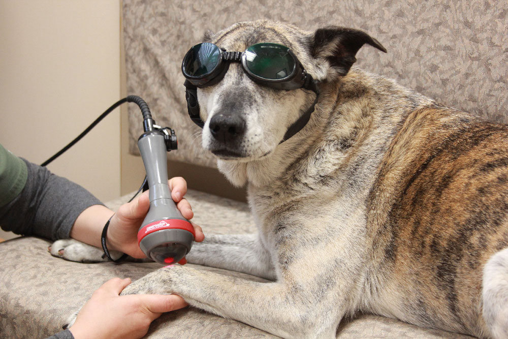 Laser therapy