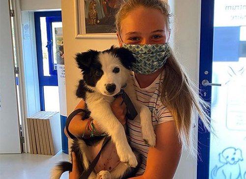 vetcare_center