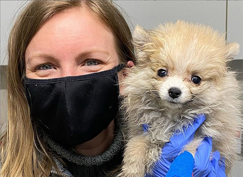 Vetcare_center