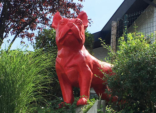Vetcare_center